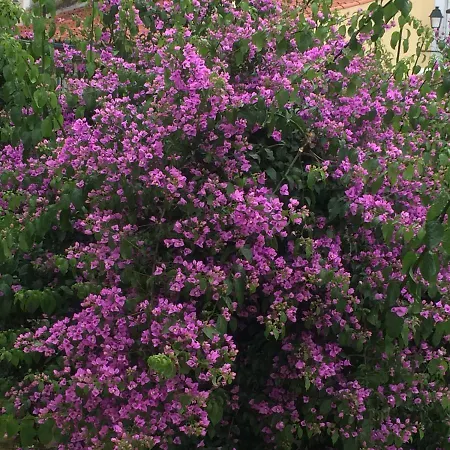 شقة Sobre Ribas 2|12 كويمبرا